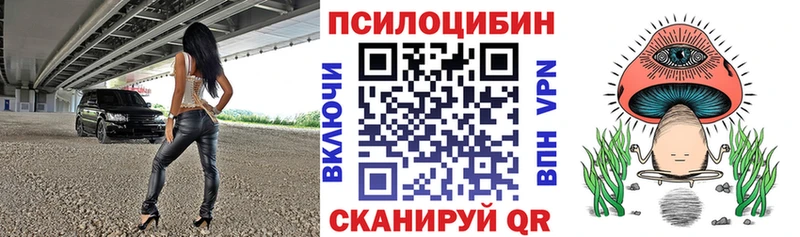 ссылка на мегу как зайти  Добрянка  Галлюциногенные грибы Psilocybine cubensis 