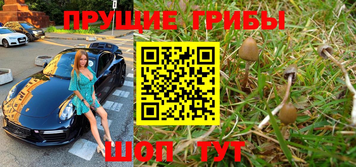 Добрянка  Псилоцибиновые грибы GOLDEN TEACHER  Вход с VPN 